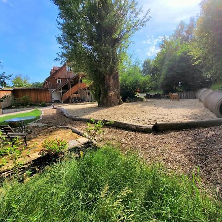 Pferdehof Am Burgsberg, Ferienzimmer, Monteurzimmer Seifhennersdorf Екстер'єр фото